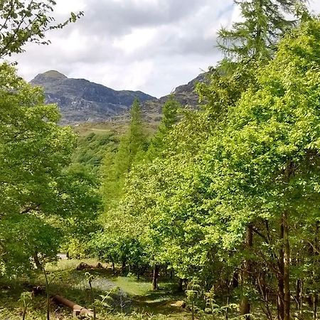 Mountain Walks Straight From The Doorstep Villa Blaenau Ffestiniog Ngoại thất bức ảnh